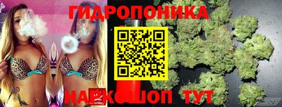 прущие крисы Будённовск