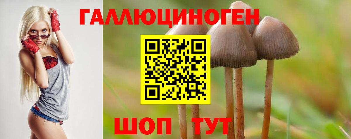 Псилоцибиновые грибы Magic Shrooms  Вход с VPN  Галлюциногенные грибы ЛСД  Новокуйбышевск 